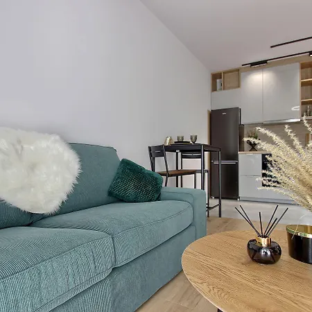 Apartament Perfect Golisza شتشيتسين